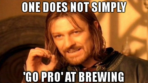One does not simply "go pro" at brewing